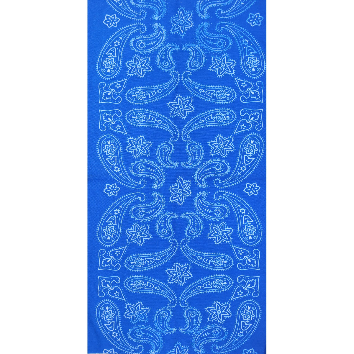 BANDANA PAISLEY TRAMA INFINITA AZUL