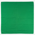 Pañoleta Alegonz Store color entero verde, familia lisos, tela suave y liviana.
