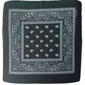 Pañoleta Alegonz Store paisley color negro, familia paisleys, tela suave y liviana.