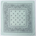 Pañoleta Alegonz Store paisley color blanco, familia paisleys, tela suave y liviana.