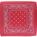 Pañoleta Alegonz Store paisley color rojo, familia paisleys, tela suave y liviana.