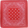 Pañoleta Alegonz Store 80% paisley color rojo, familia paisleys, tela suave y liviana.