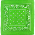 Pañoleta Alegonz Store paisley color verde, familia paisleys, tela suave y liviana.