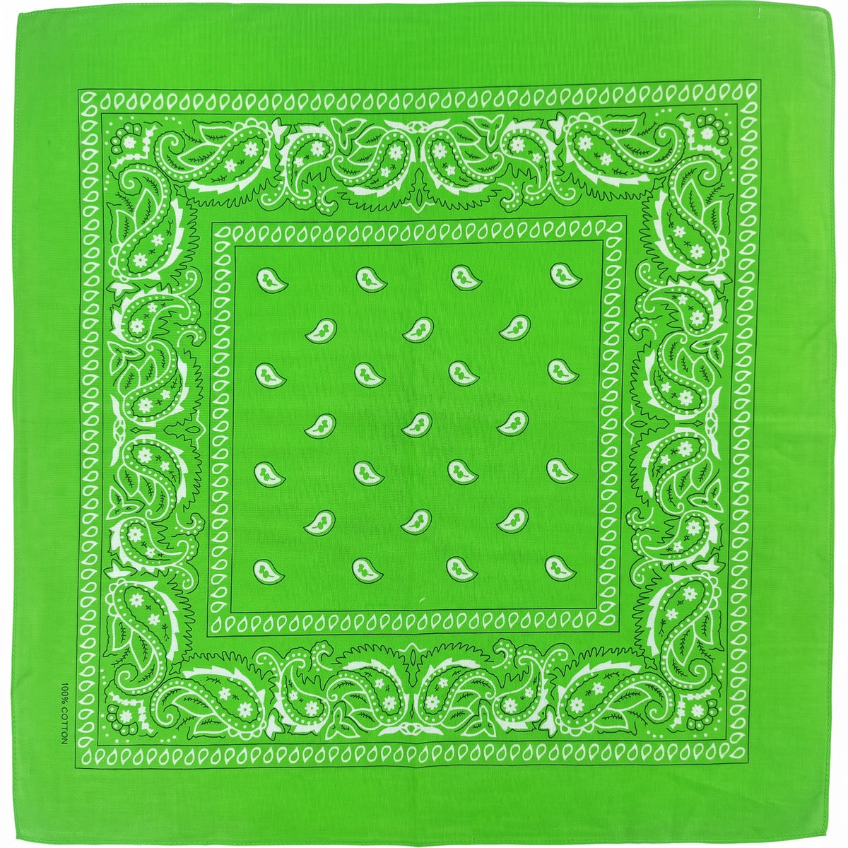 Pañoleta Alegonz Store paisley color verde, familia paisleys, tela suave y liviana.