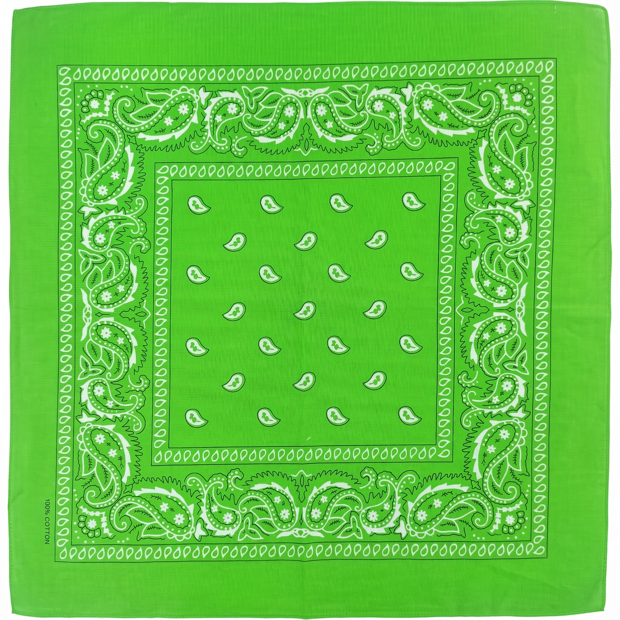 Pañoleta Alegonz Store paisley color verde, familia paisleys, tela suave y liviana.