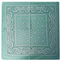 Pañoleta Alegonz Store paisley color turquesa, familia paisleys, tela suave y liviana.