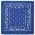 Pañoleta Alegonz Store paisley color azul, familia paisleys, tela suave y liviana.