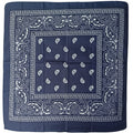 Pañoleta Alegonz Store paisley color azul marino, familia paisleys, tela suave y liviana.