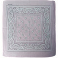 Pañoleta Alegonz Store paisley color rosa pastel, familia paisleys, tela suave y liviana.
