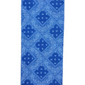 Alegonz BAN-PAI-039